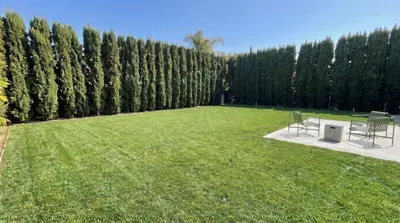 BEFORE - Backyard, Encino new build